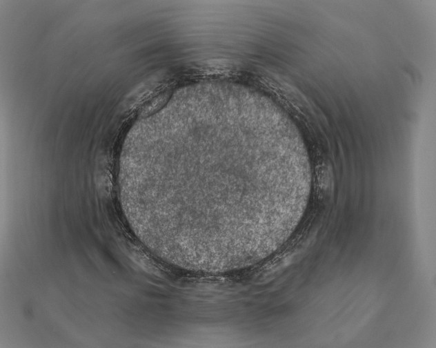 X0000111150916200907281129