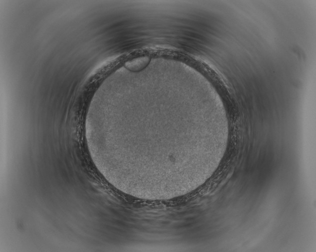 X0000111150919200907281129