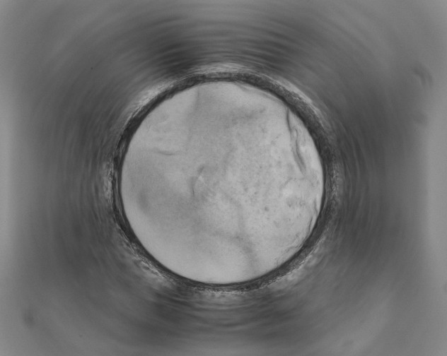 X0000111150921200907281129