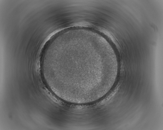 X0000111150923200907281129