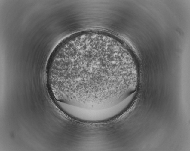 X0000111150924200907281129