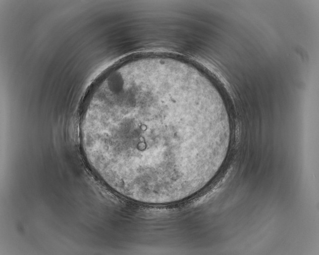 X0000111150925200907281129