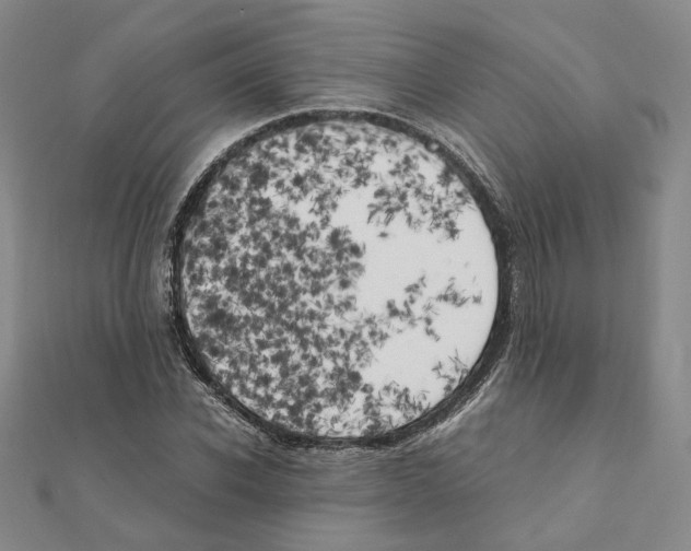 X0000111150926200907281129