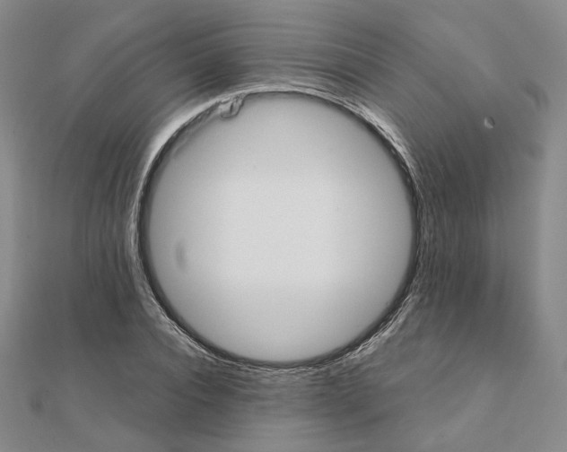 X0000111150928200907281129