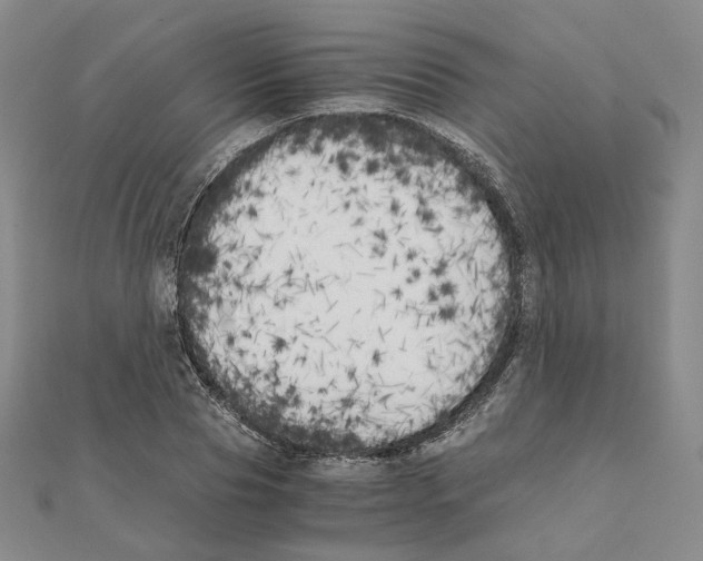 X0000111150929200907281129