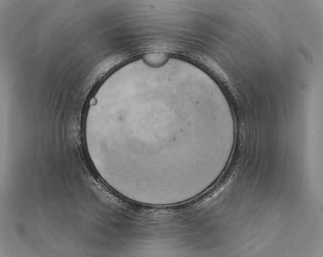 X0000111150930200907281129