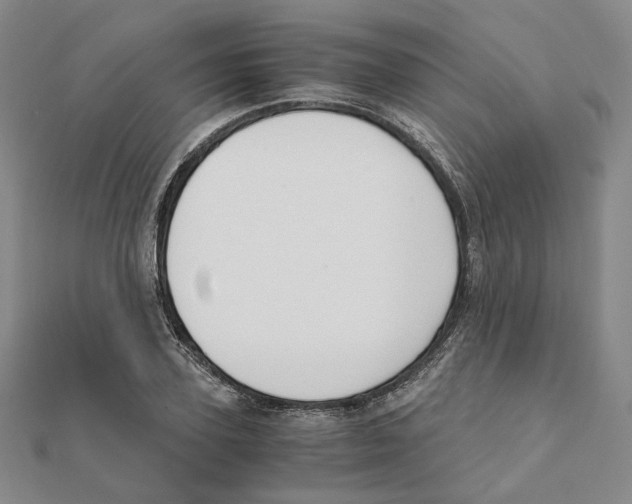 X0000111150931200907281129