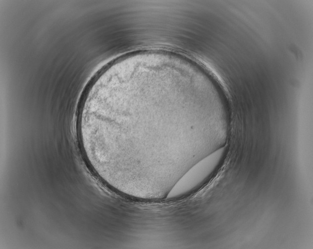 X0000111150932200907281129