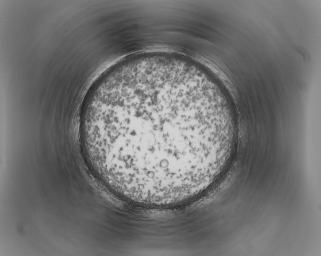 X0000111150933200907281129