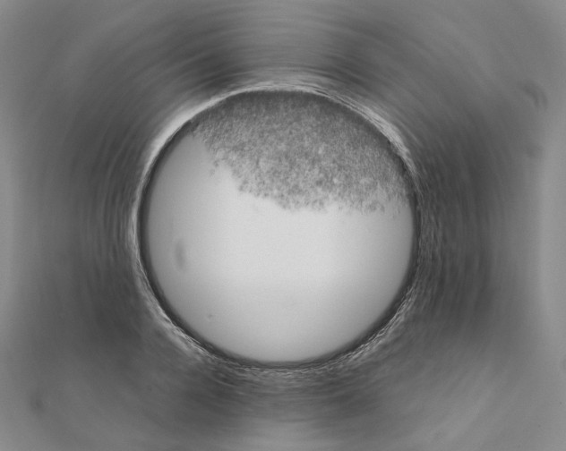 X0000111150936200907281129