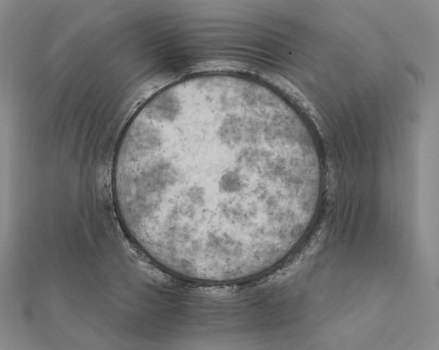 X0000111150937200907281129