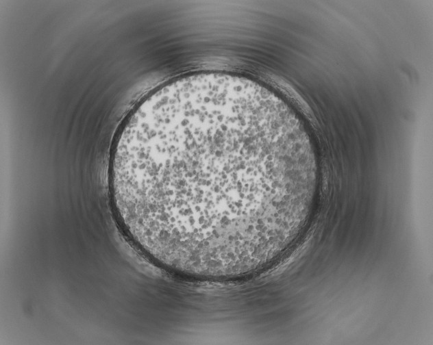 X0000111150938200907281129