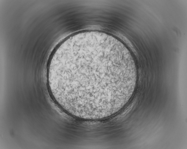 X0000111150939200907281129