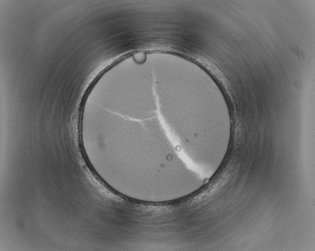 X0000111150941200907281129