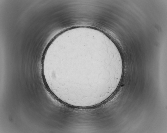 X0000111150942200907281129