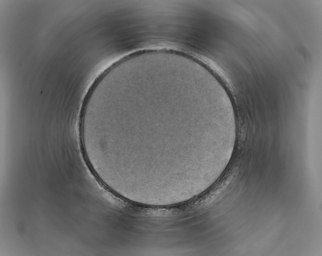 X0000111150943200907281129