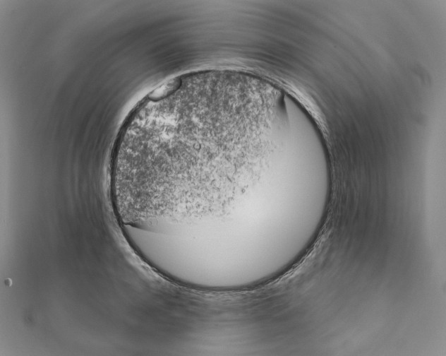 X0000111150944200907281129