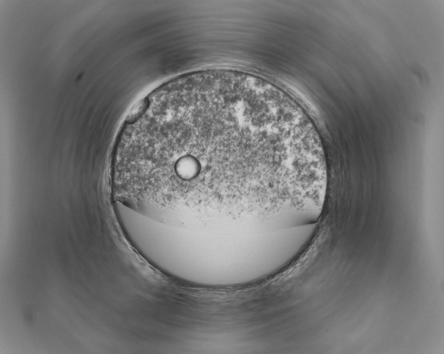 X0000111150948200907281129