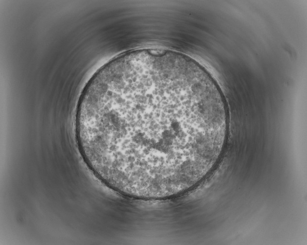 X0000111150949200907281129