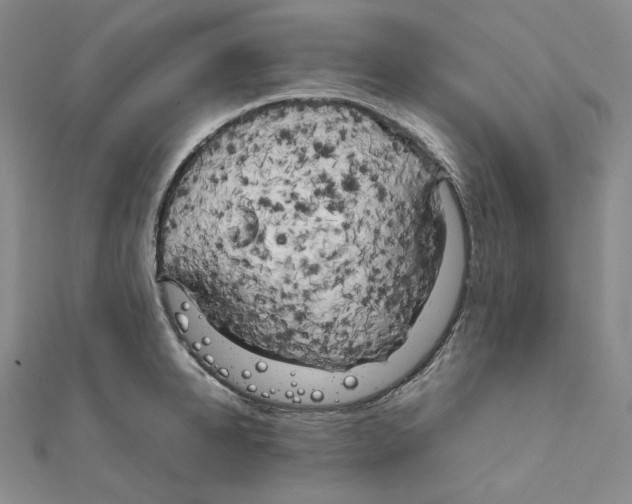 X0000111150950200907281129