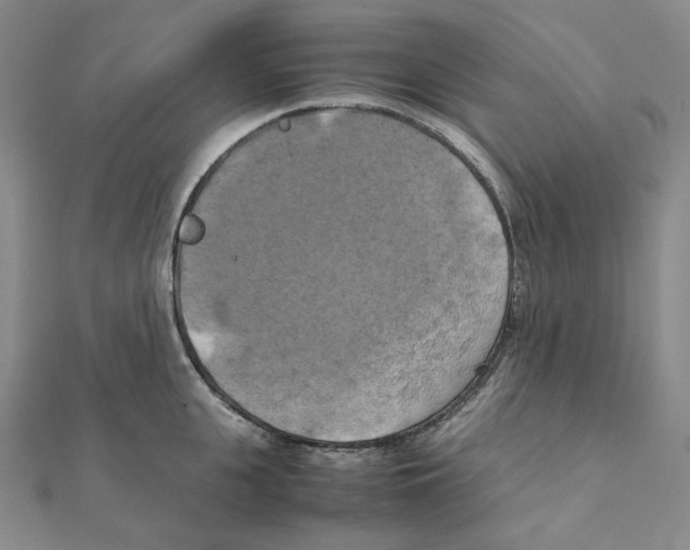 X0000111150951200907281129