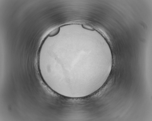 X0000111150952200907281129