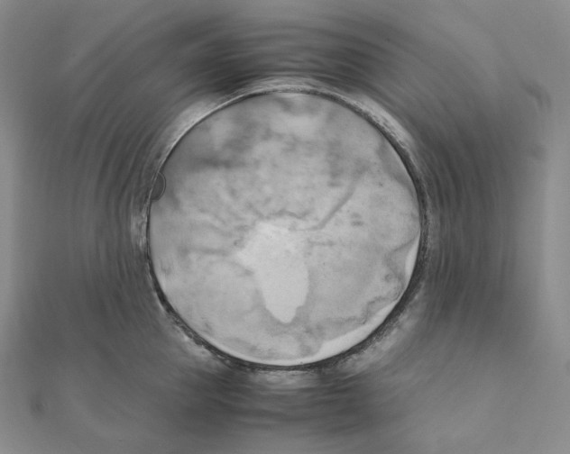 X0000111150953200907281129