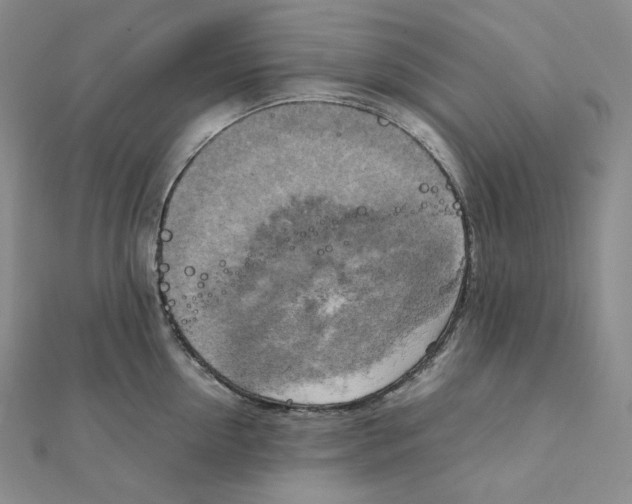 X0000111150954200907281129