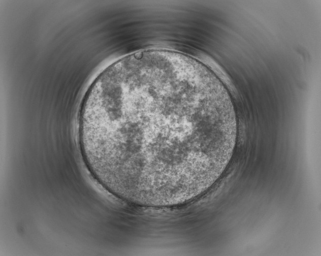 X0000111150955200907281130