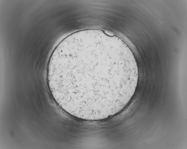 X0000111150956200907281130