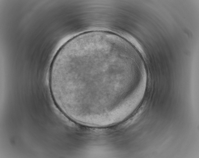 X0000111150958200907281130