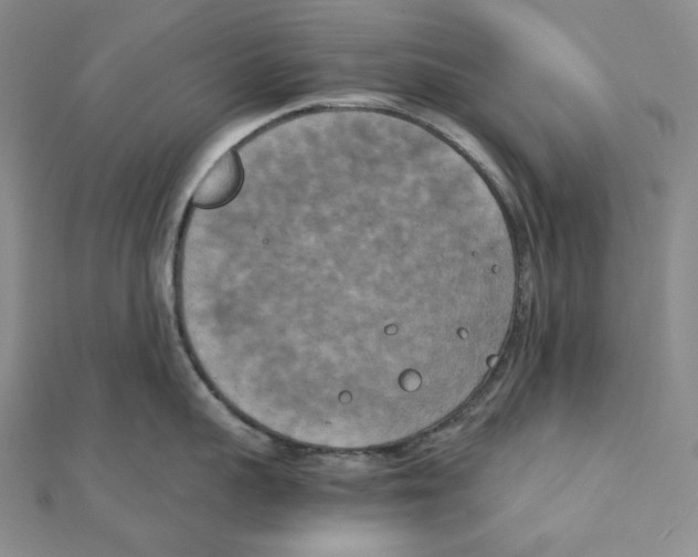 X0000111150959200907281130