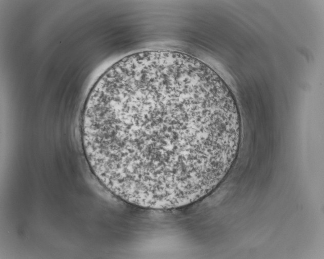 X0000111150960200907281130