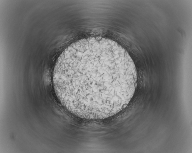 X0000111150962200907281129