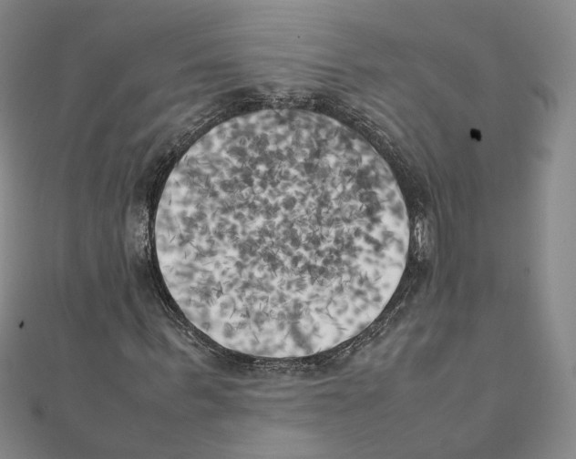 X0000111150963200907281129