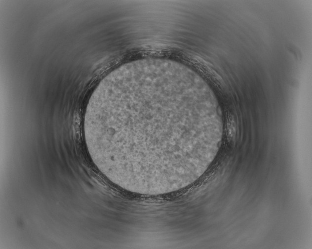 X0000111150964200907281129