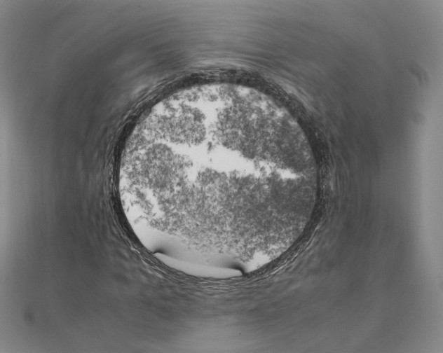 X0000111150965200907281129