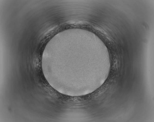 X0000111150966200907281129