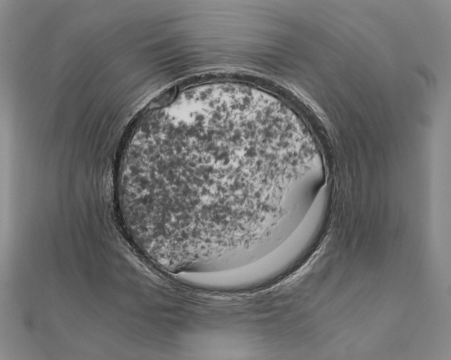 X0000111150969200907281129