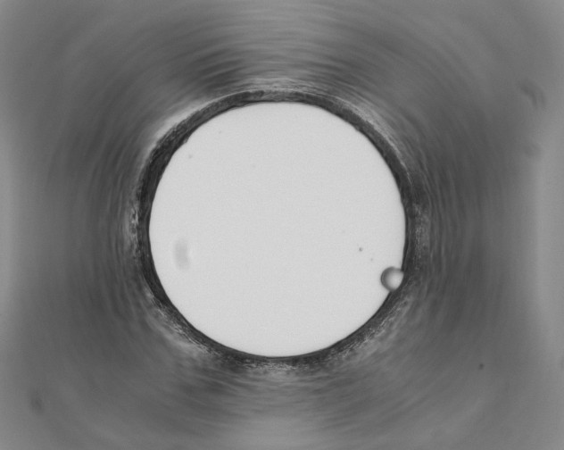 X0000111150971200907281129