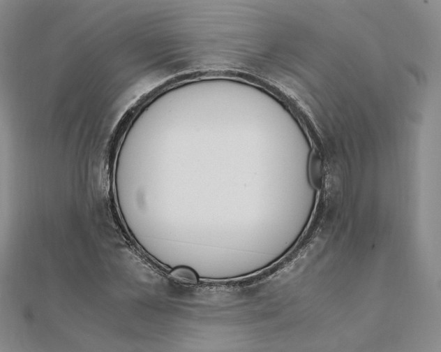 X0000111150973200907281129