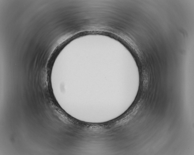 X0000111150974200907281129