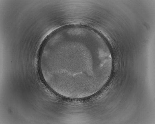 X0000111150975200907281129