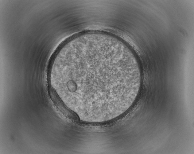 X0000111150976200907281129