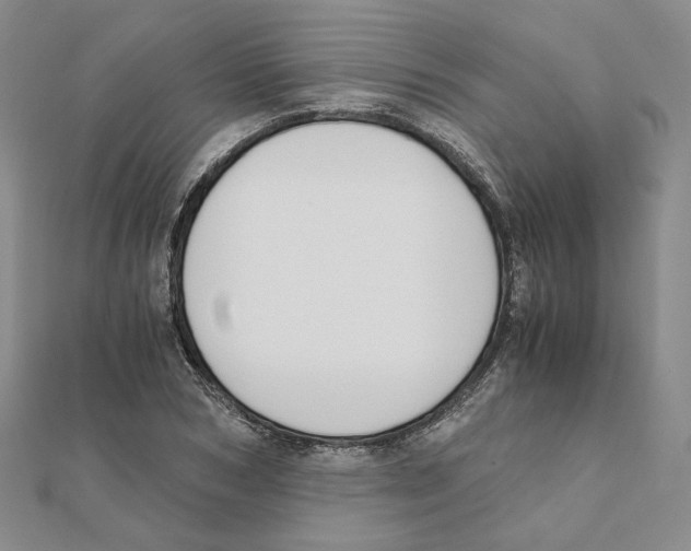 X0000111150978200907281129