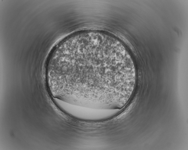 X0000111150981200907281129