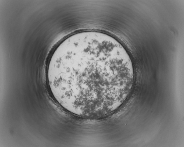 X0000111150982200907281129