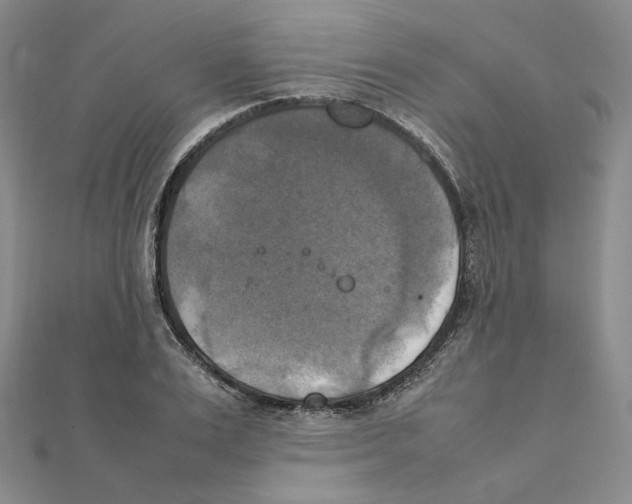 X0000111150983200907281129