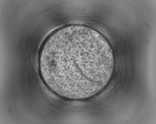 X0000111150984200907281129