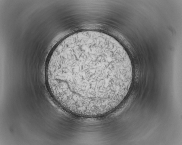 X0000111150986200907281129